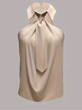 ✨ Champagne Tie Neck Halter Blouse – Lapel Collar Chic (Size 2)